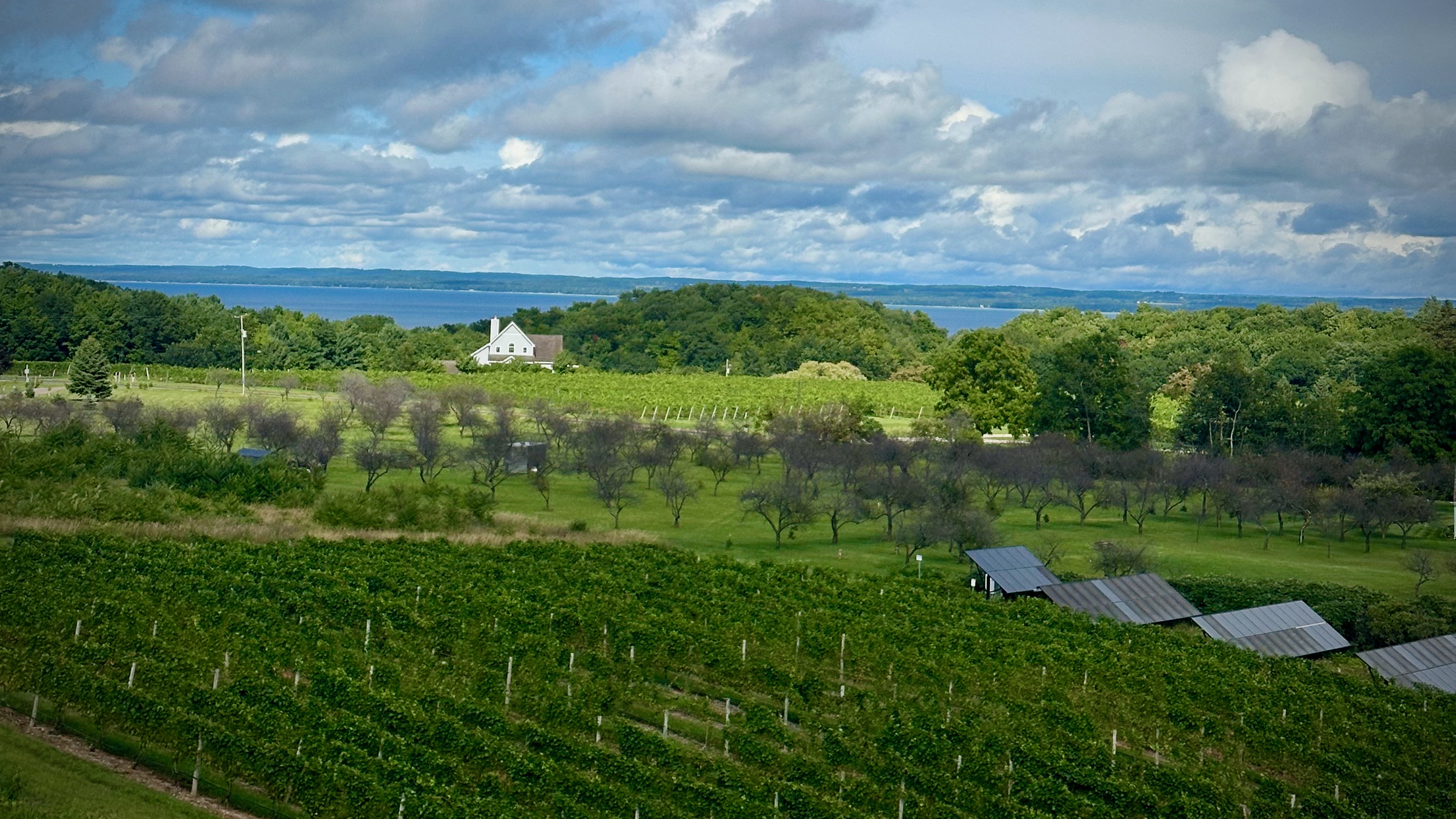 Traverse City Winery